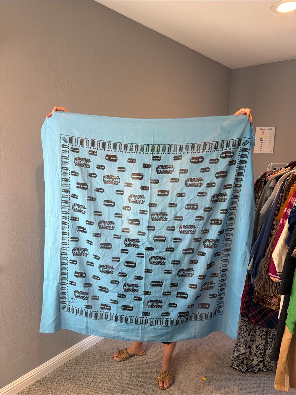 McQueen Light Blue Printed Square scarf
